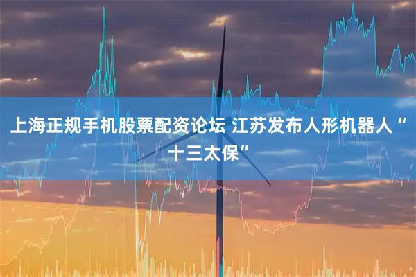 上海正规手机股票配资论坛 江苏发布人形机器人“十三太保”