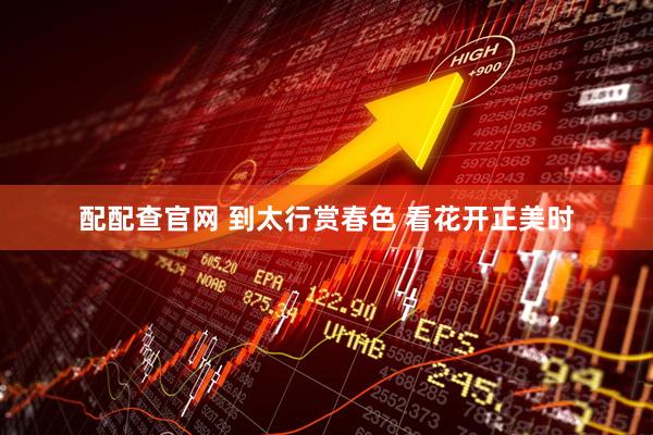 配配查官网 到太行赏春色 看花开正美时