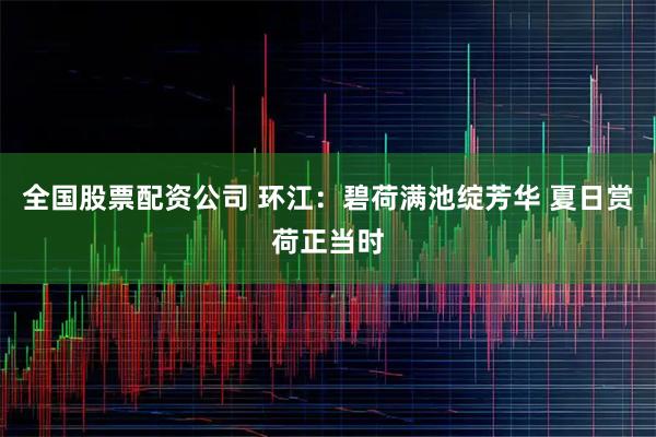 全国股票配资公司 环江：碧荷满池绽芳华 夏日赏荷正当时