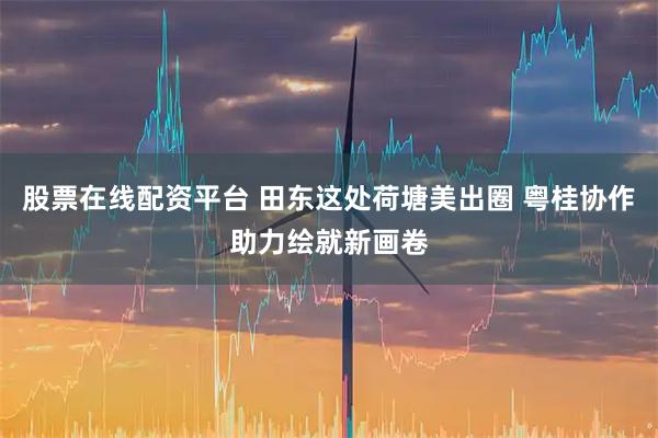 股票在线配资平台 田东这处荷塘美出圈 粤桂协作助力绘就新画卷